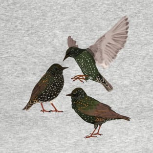 Starlings T-Shirt